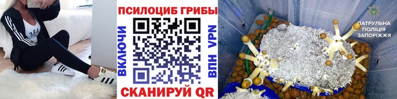 закладка  Динская  Галлюциногенные грибы ЛСД 